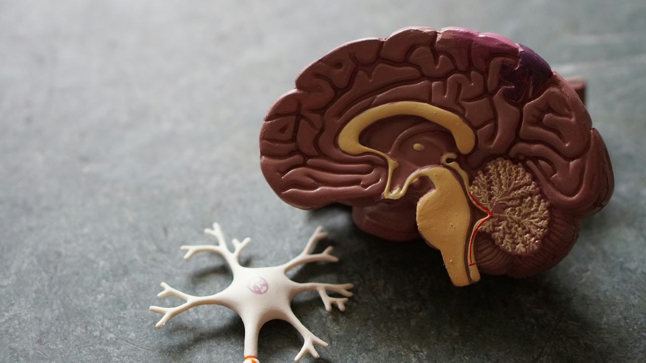 Cómo preparar el organismo para la reducción de medicamentos psiquiátricos